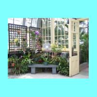 Conservatory 018.jpg